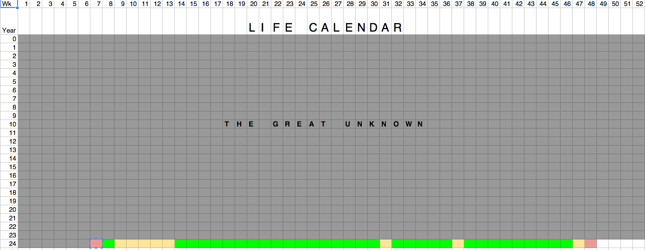 Life Calendar Final Result